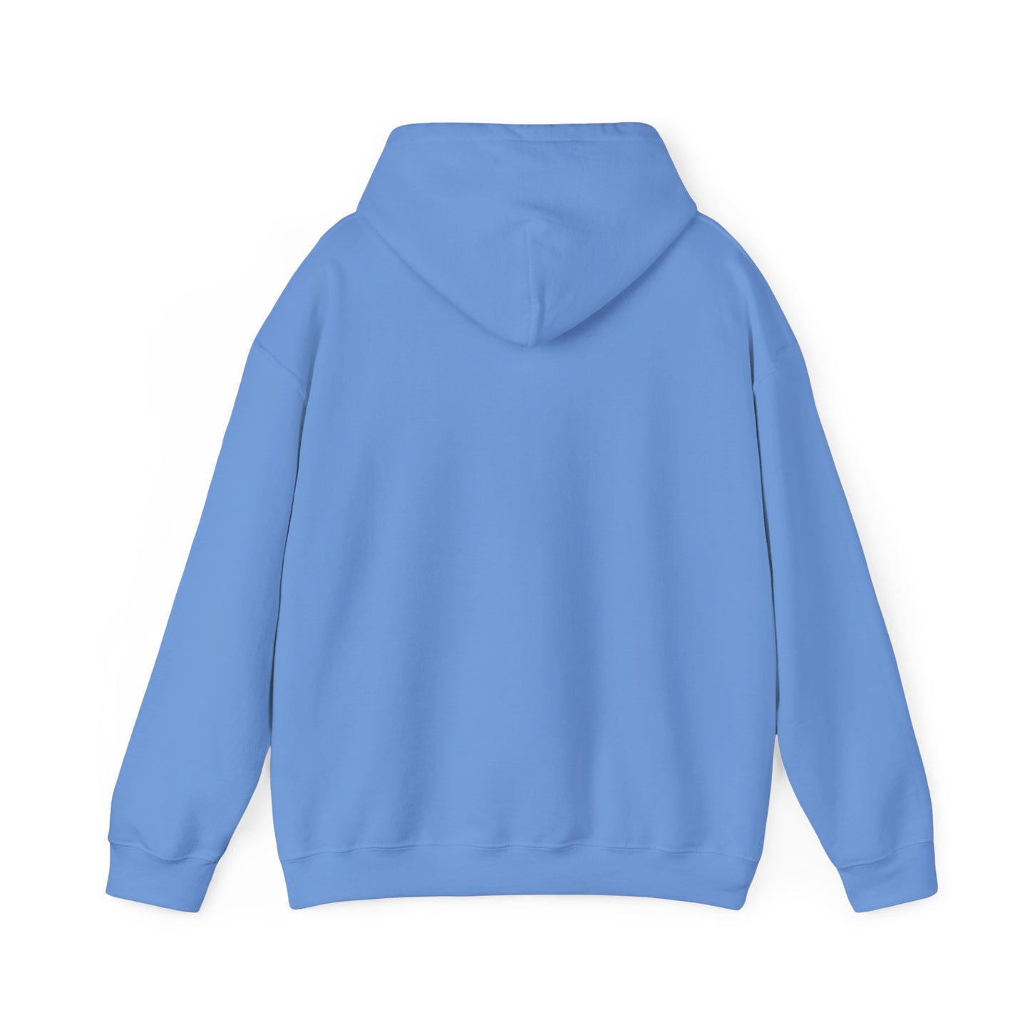 Become Established Hoodie