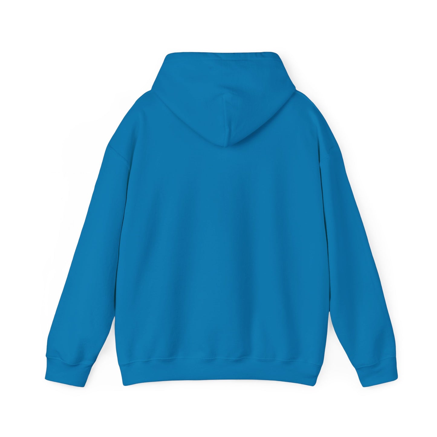 Become Established Hoodie