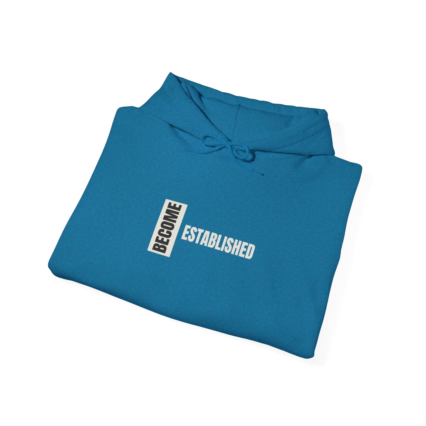 Become Established Hoodie