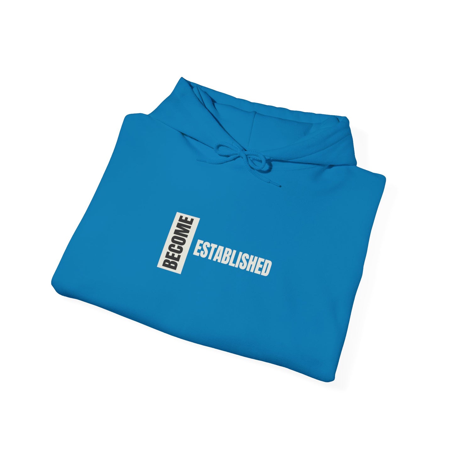 Become Established Hoodie