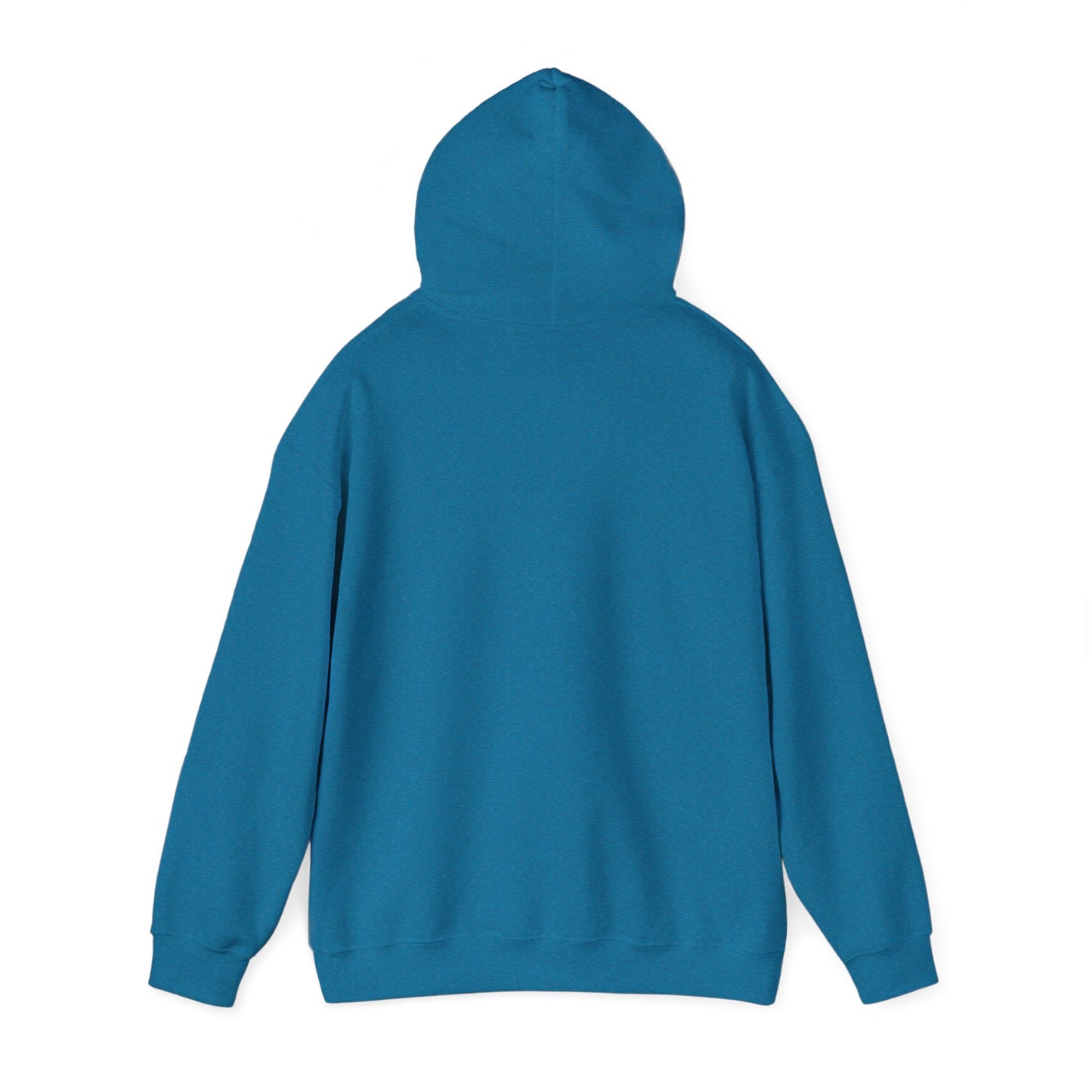 Become Established Hoodie