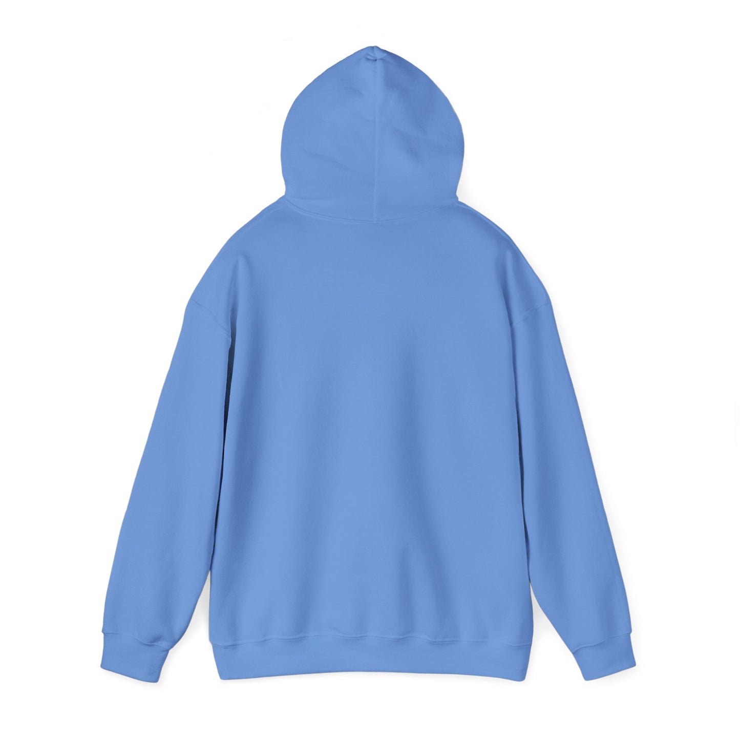Become Established Hoodie