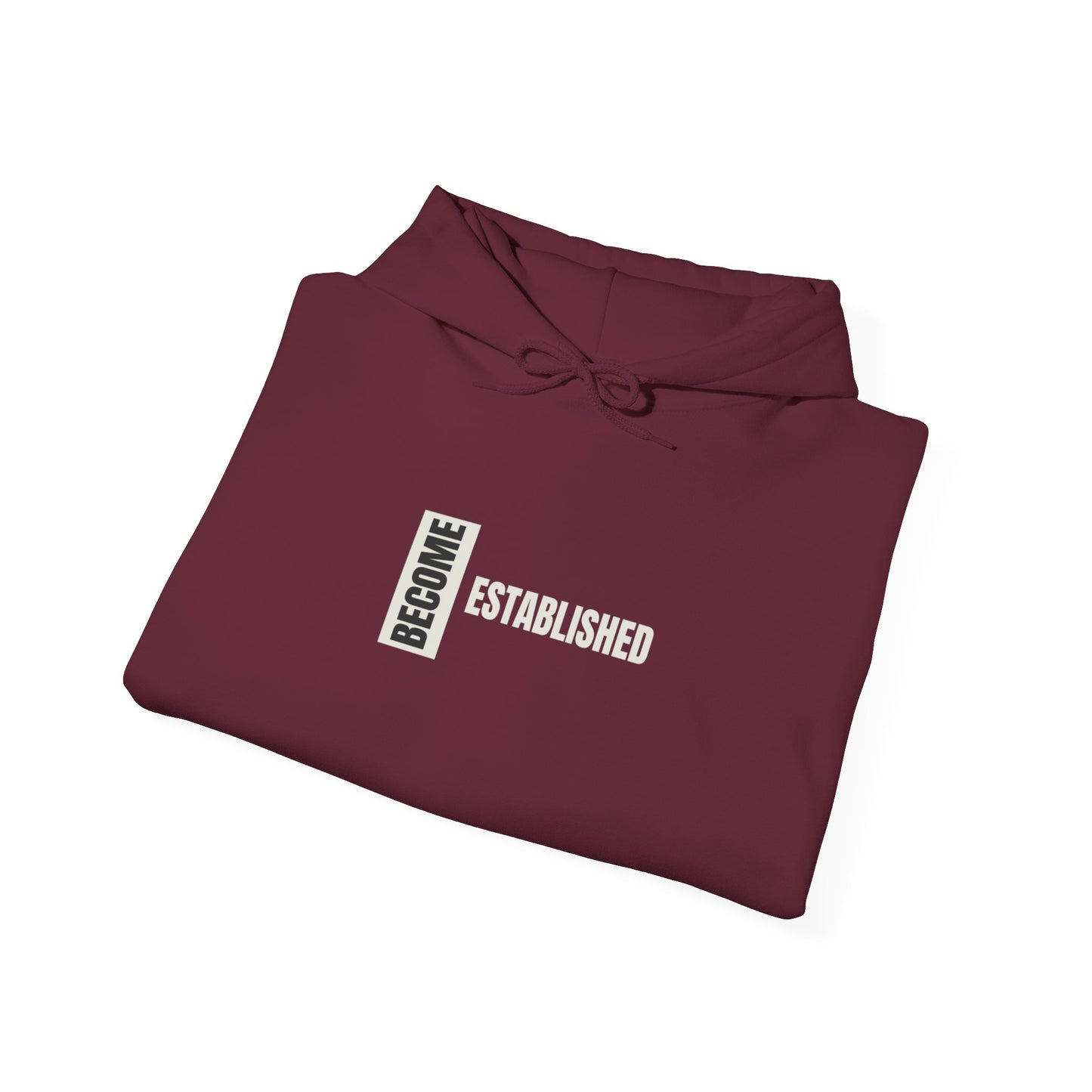 Become Established Hoodie