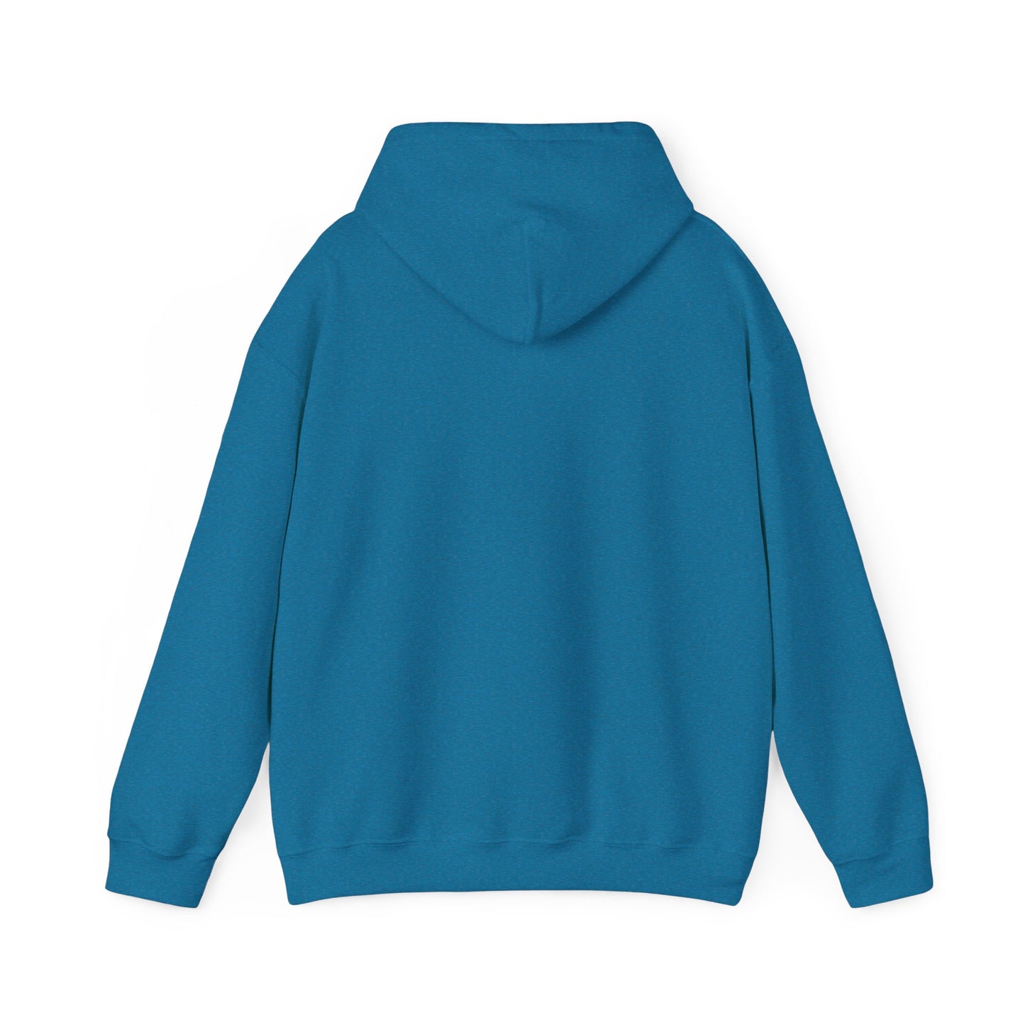 Become Established Hoodie