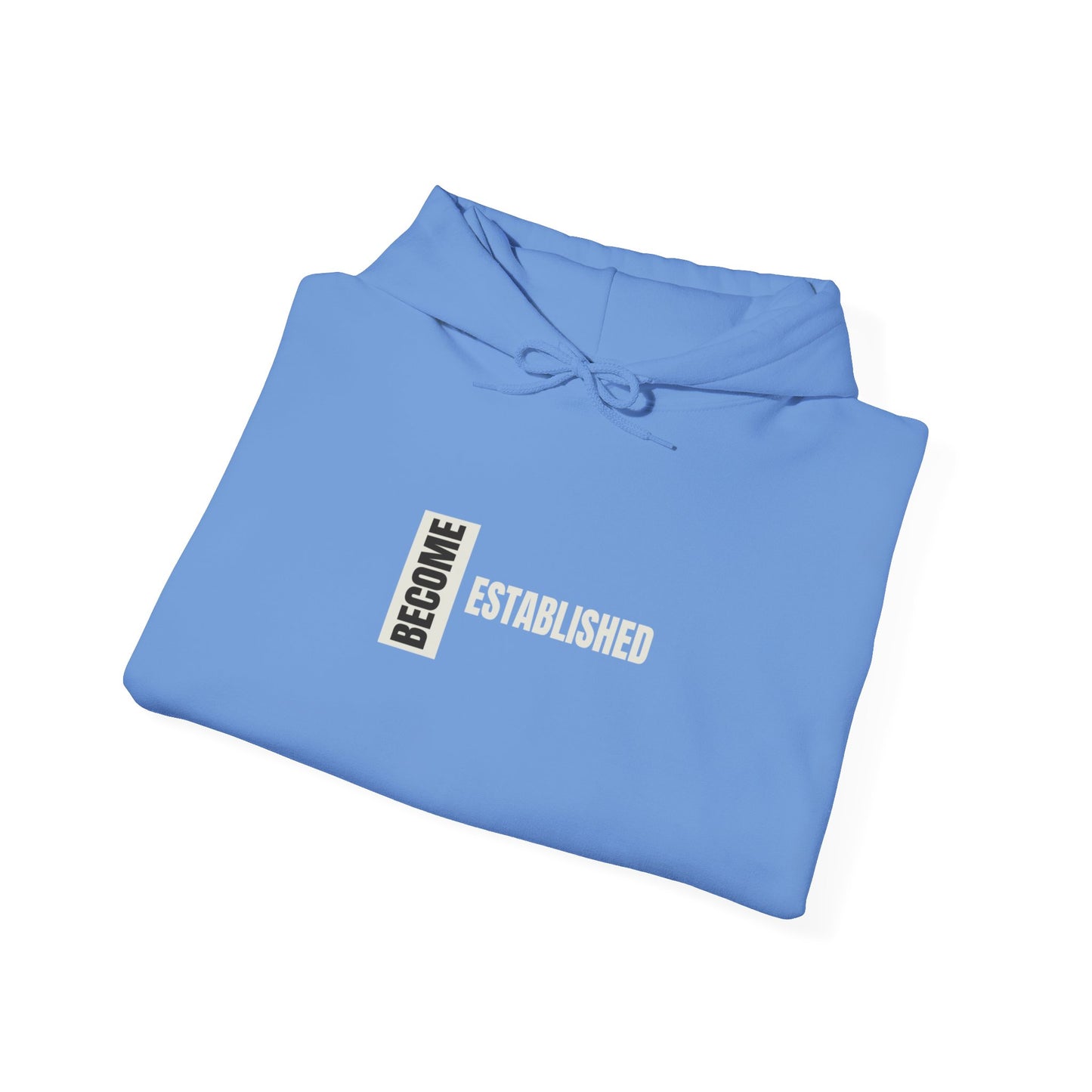 Become Established Hoodie
