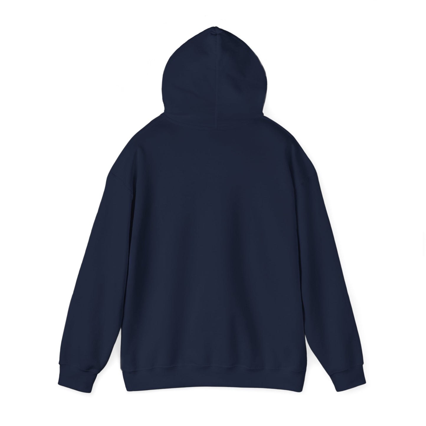 Established Black Streetwear Hoodie
