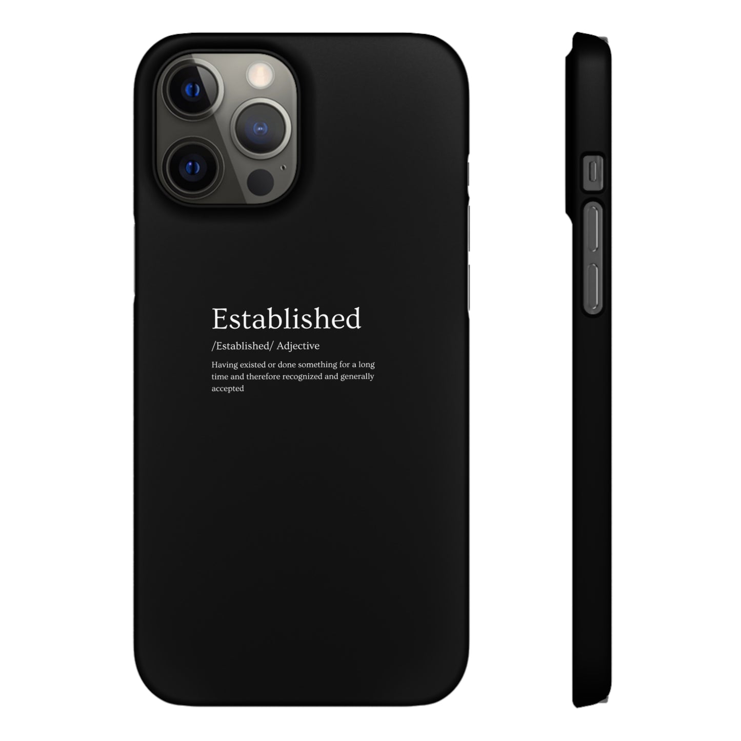 Established - Snap Cases