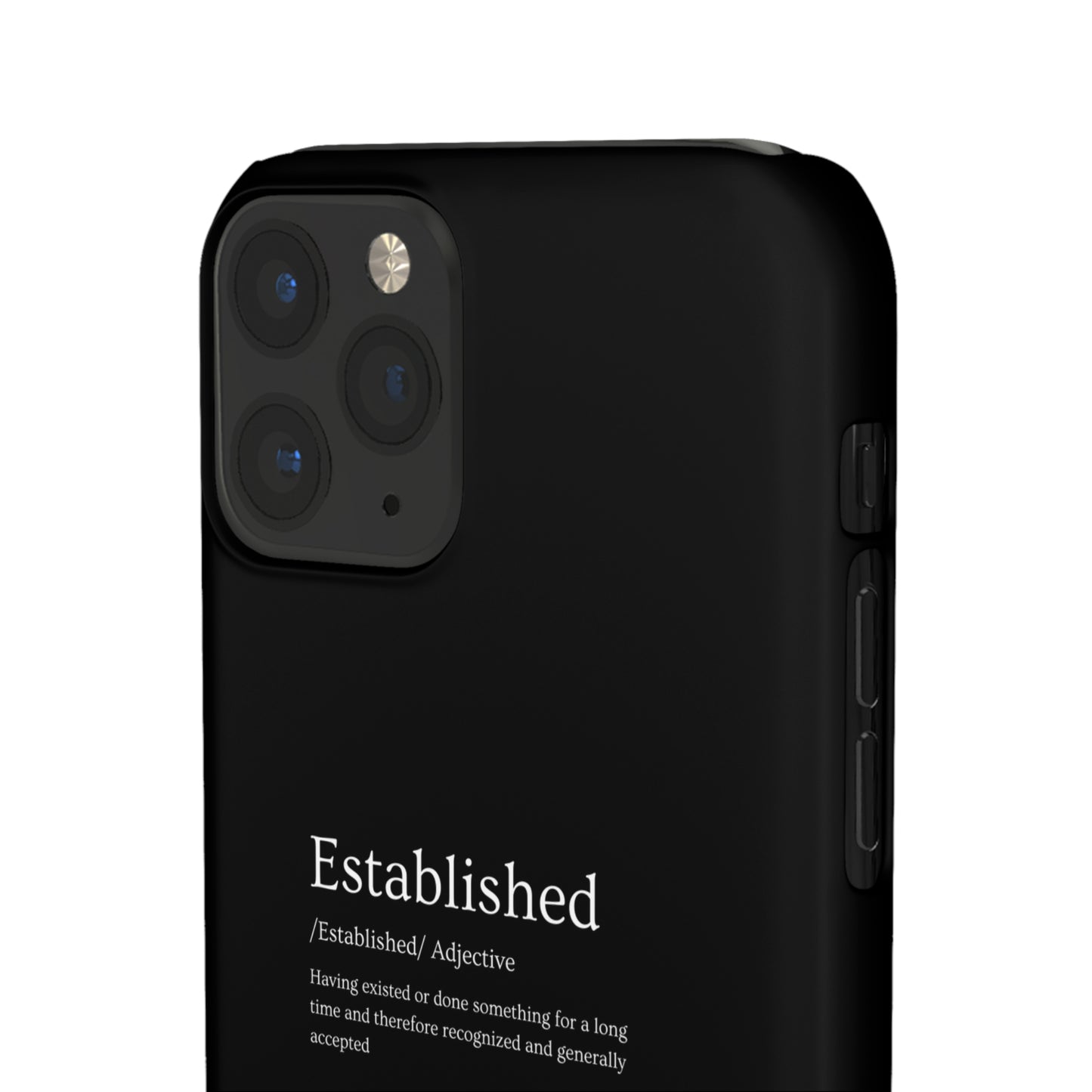 Established - Snap Cases