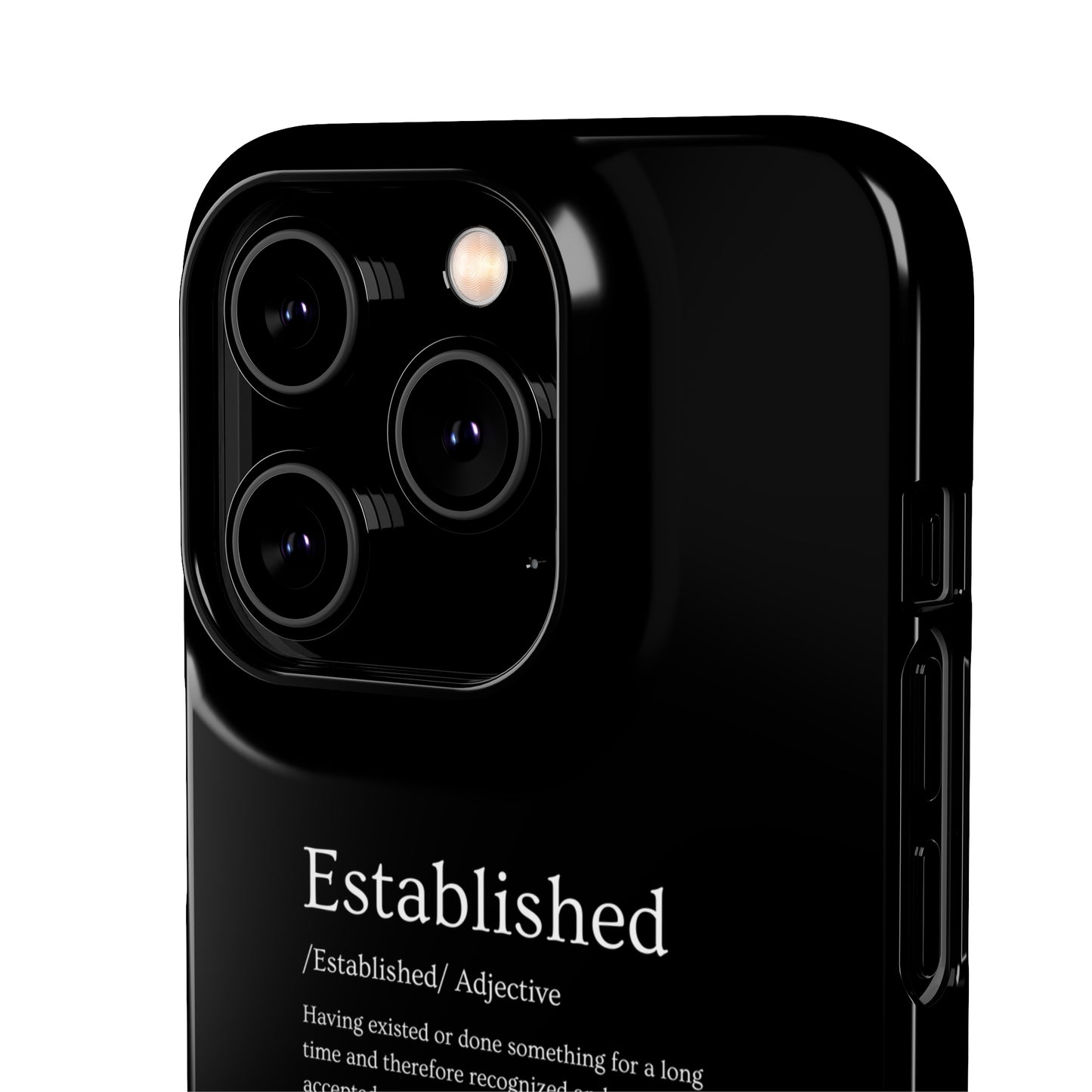 Established - Snap Cases