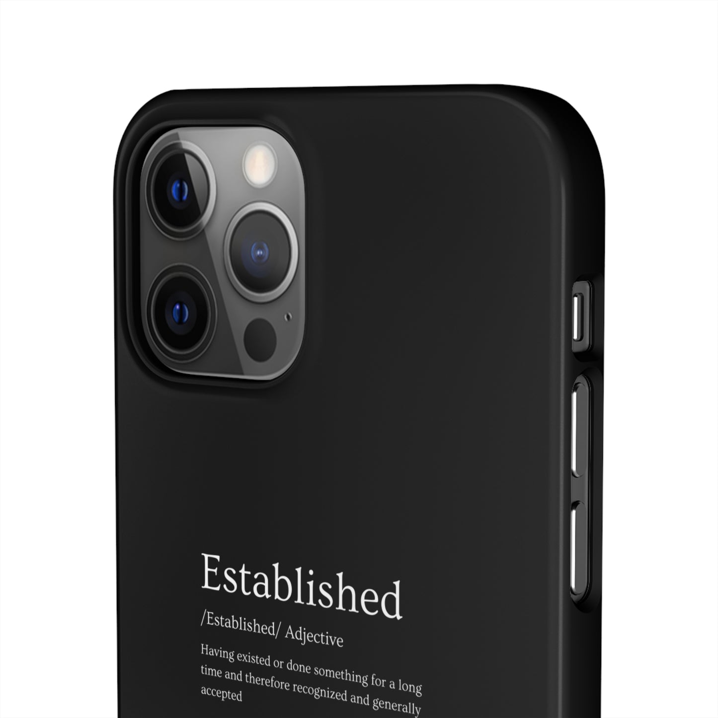 Established - Snap Cases