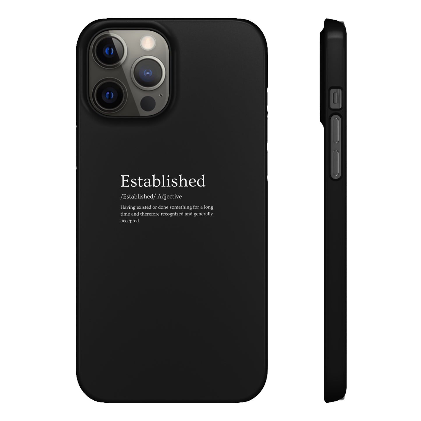 Established - Snap Cases