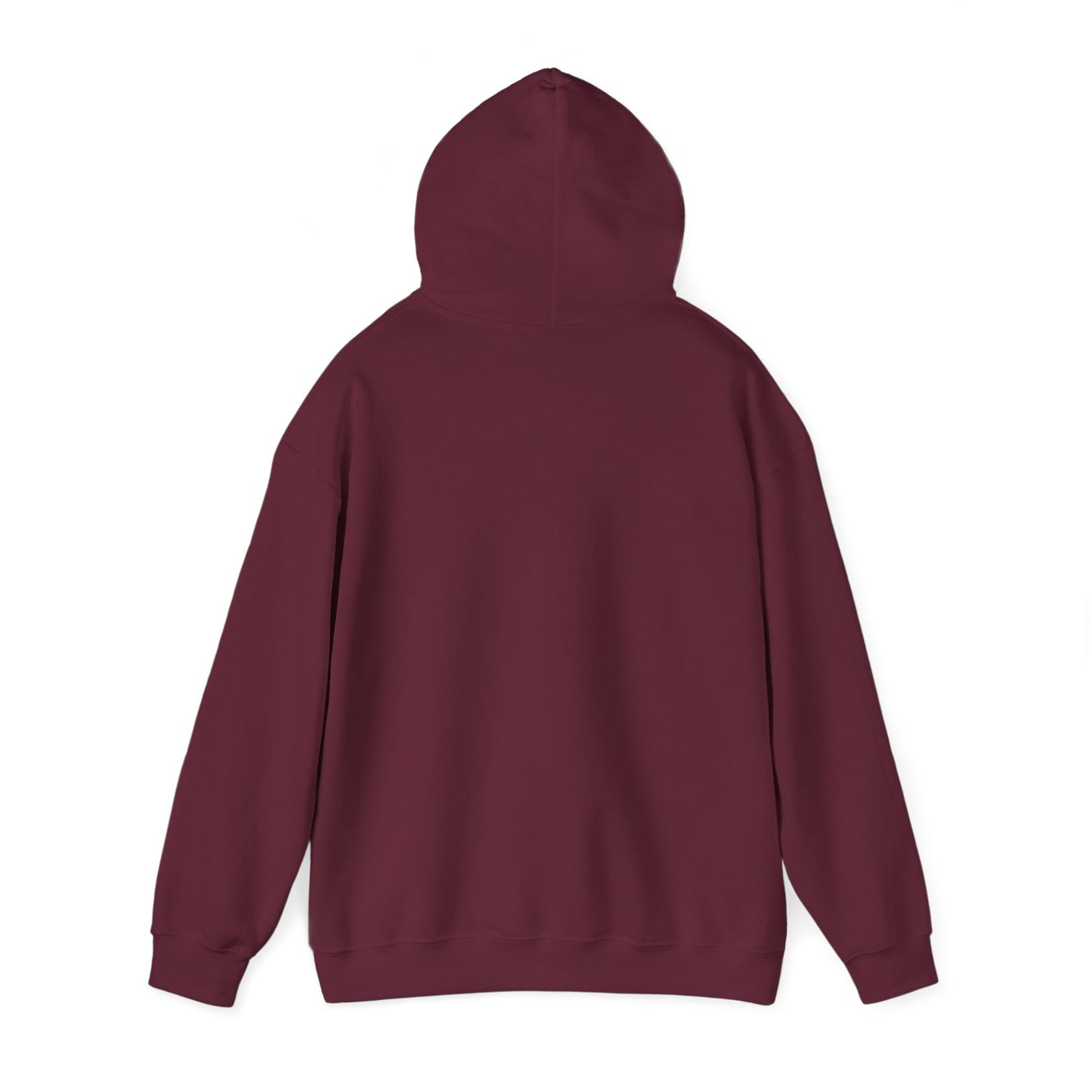 Established Ace Hoodie