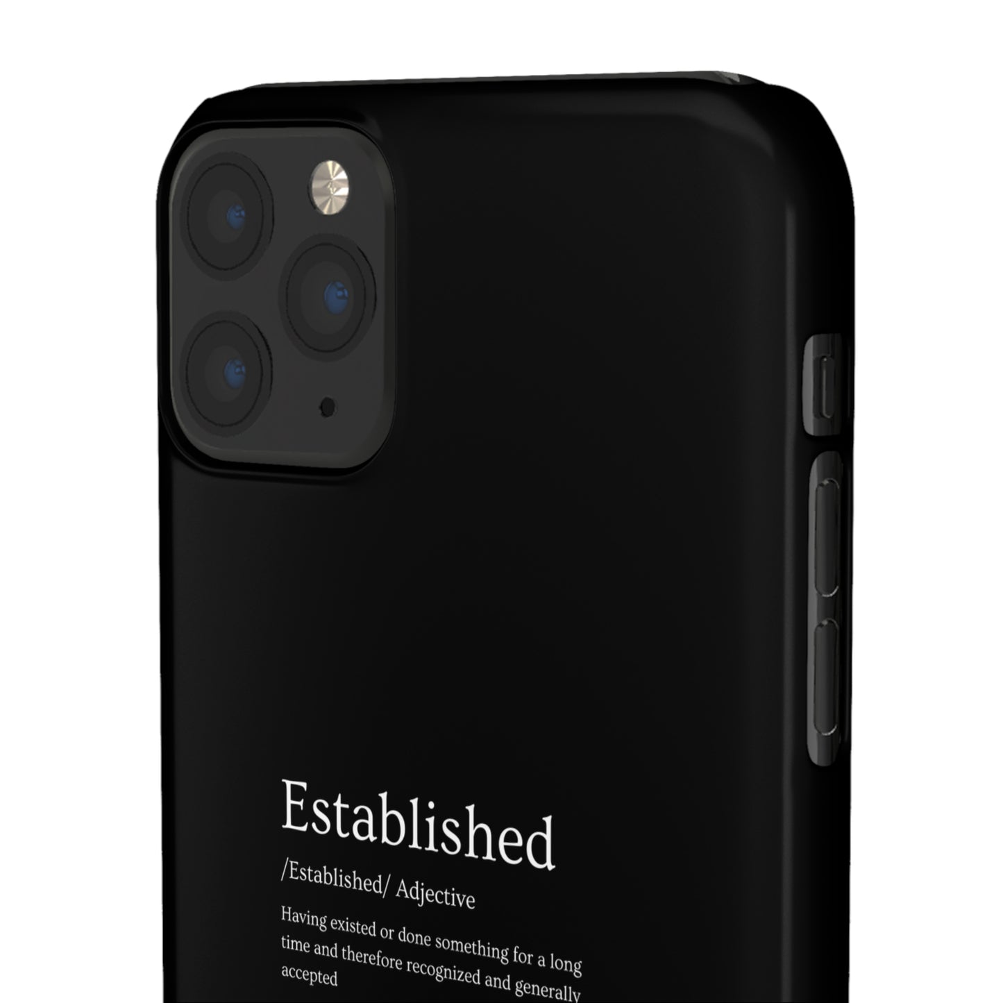 Established - Snap Cases