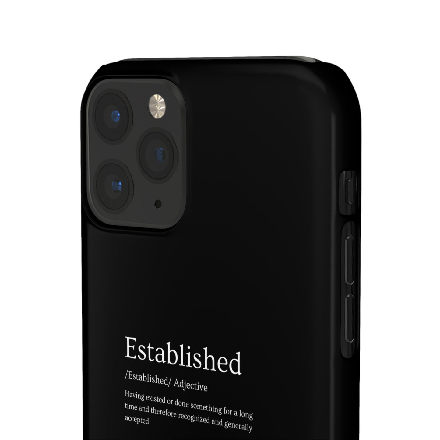 Established - Snap Cases