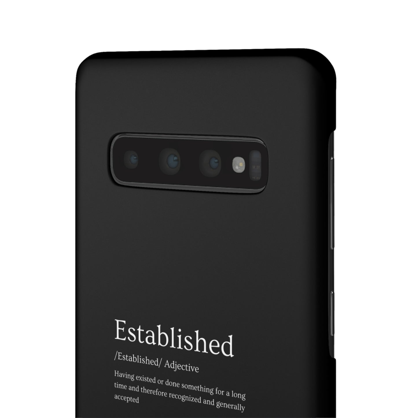 Established - Snap Cases