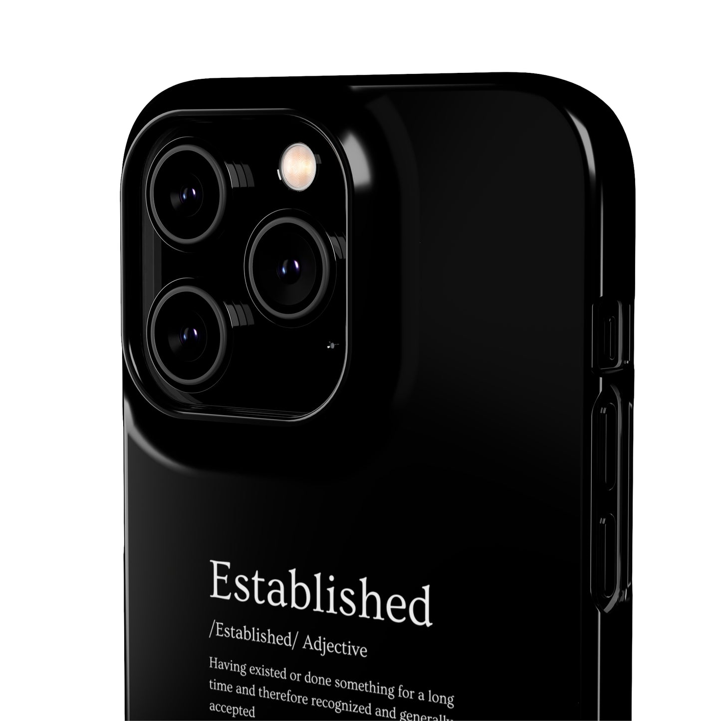 Established - Snap Cases