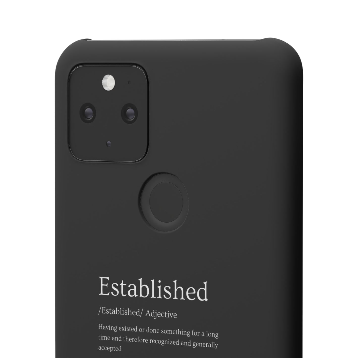 Established - Snap Cases