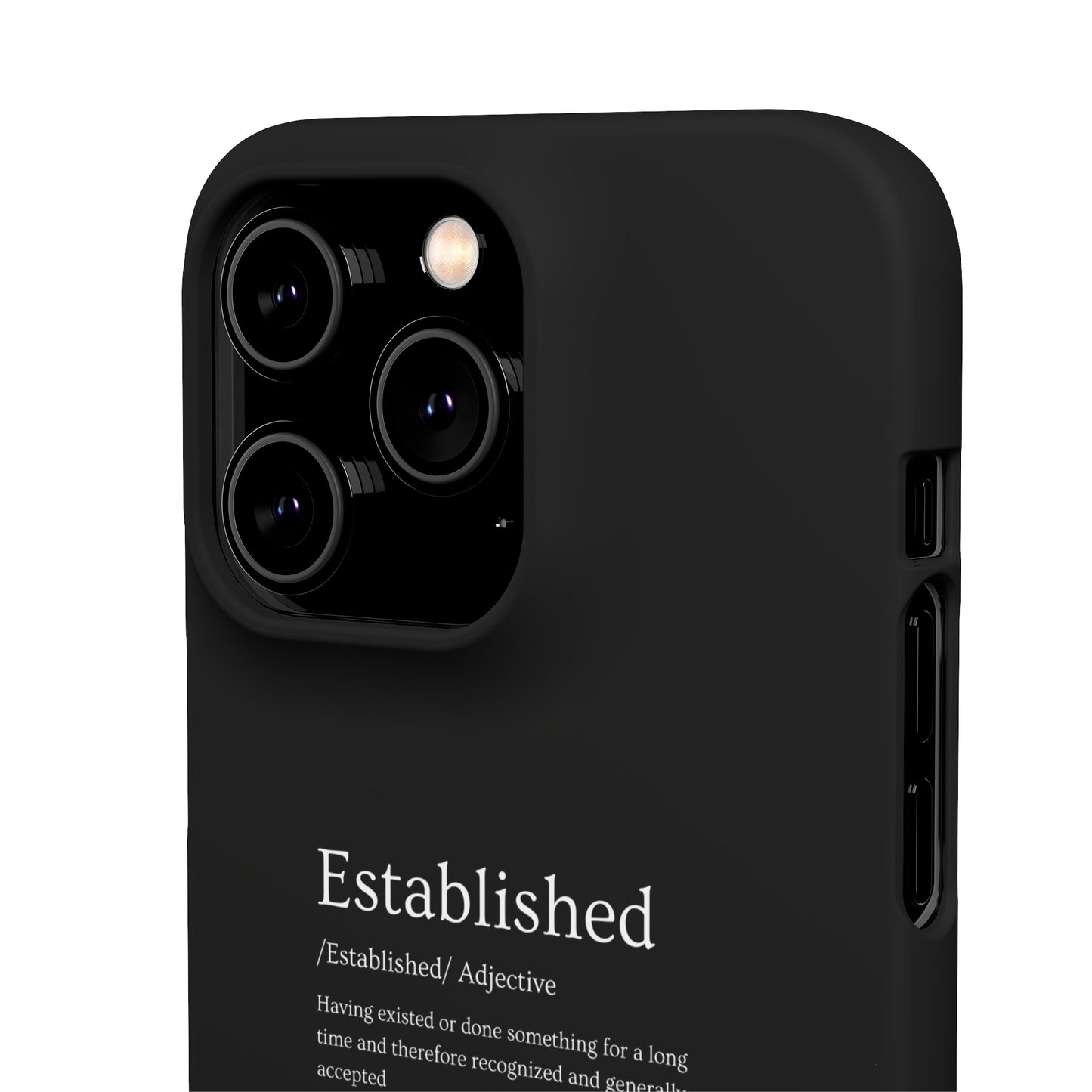 Established - Snap Cases