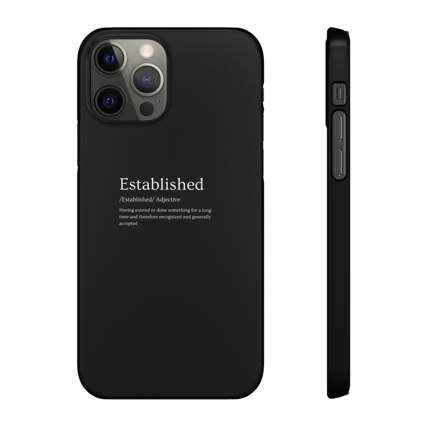 Established - Snap Cases