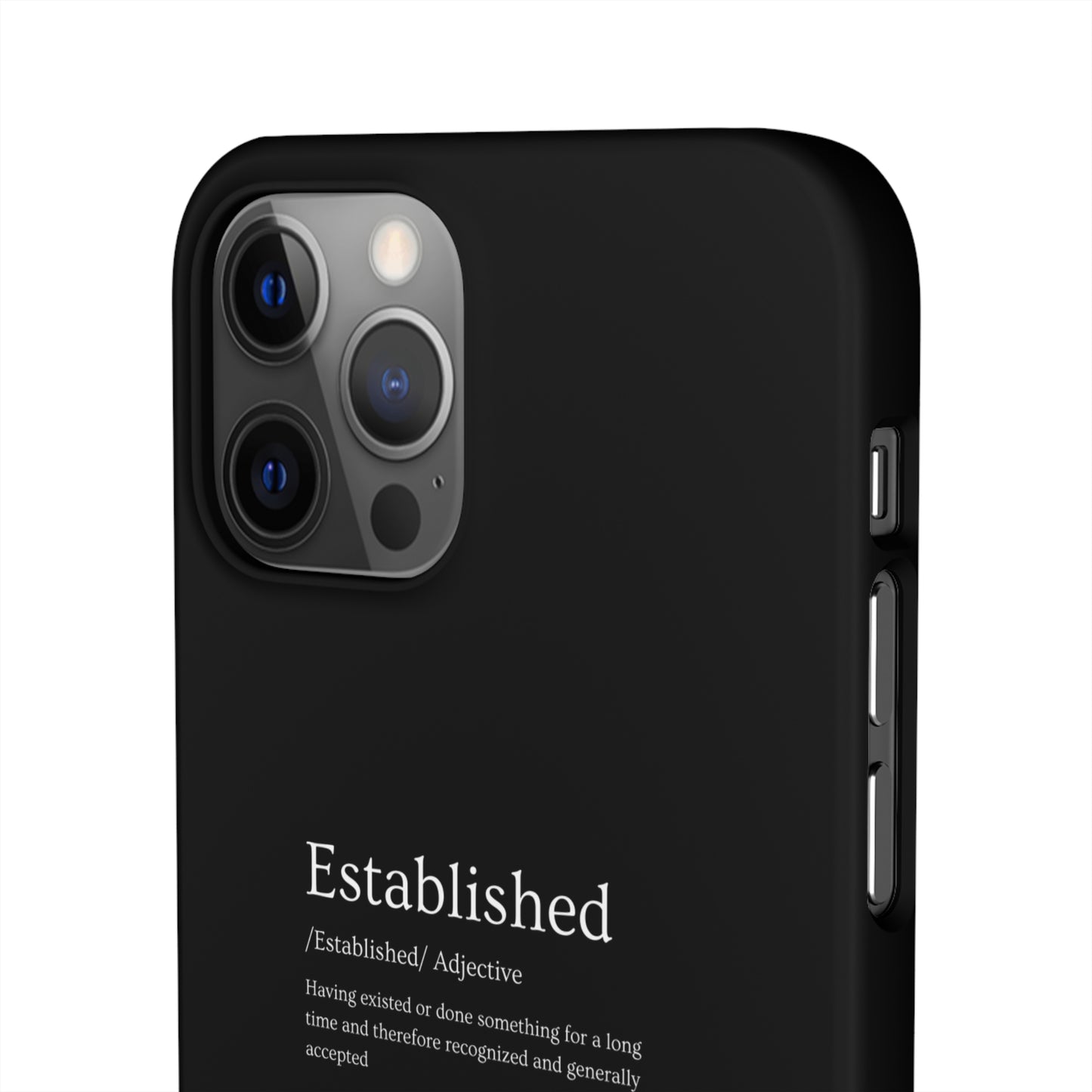 Established - Snap Cases