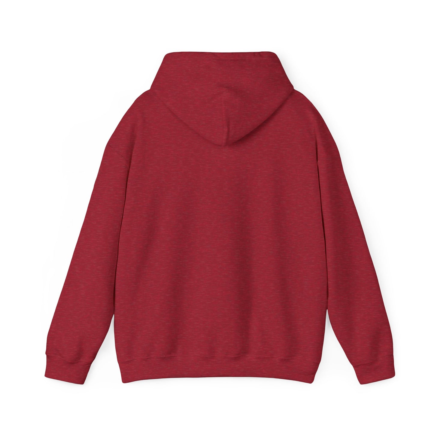 Established Ace Hoodie