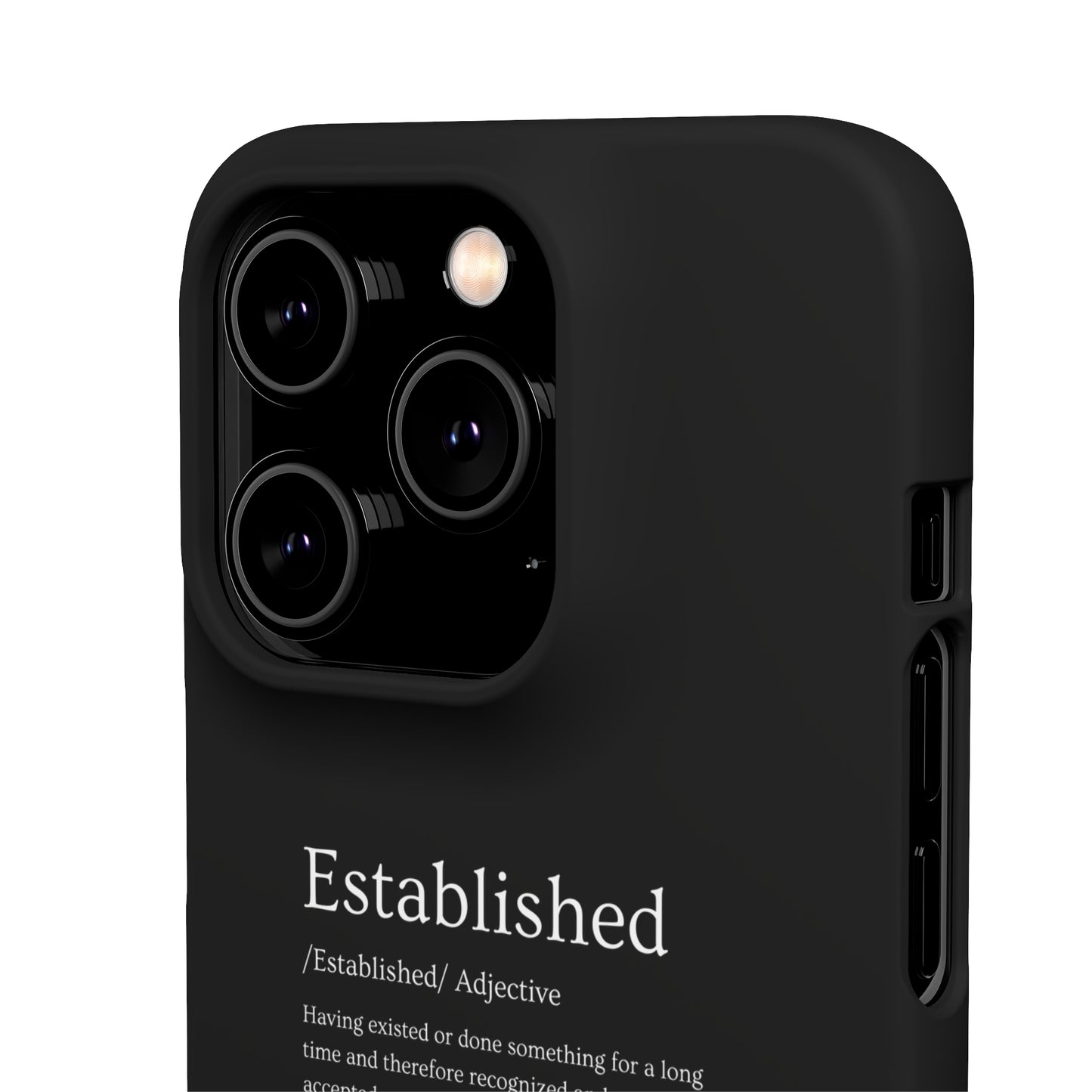 Established - Snap Cases