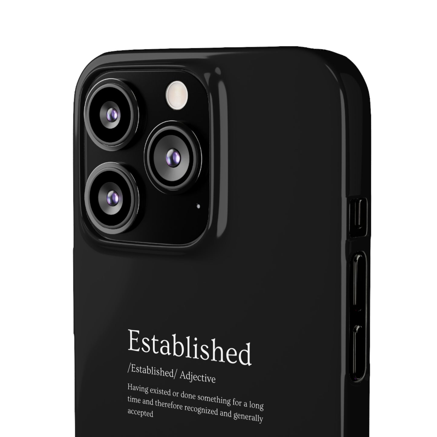 Established - Snap Cases