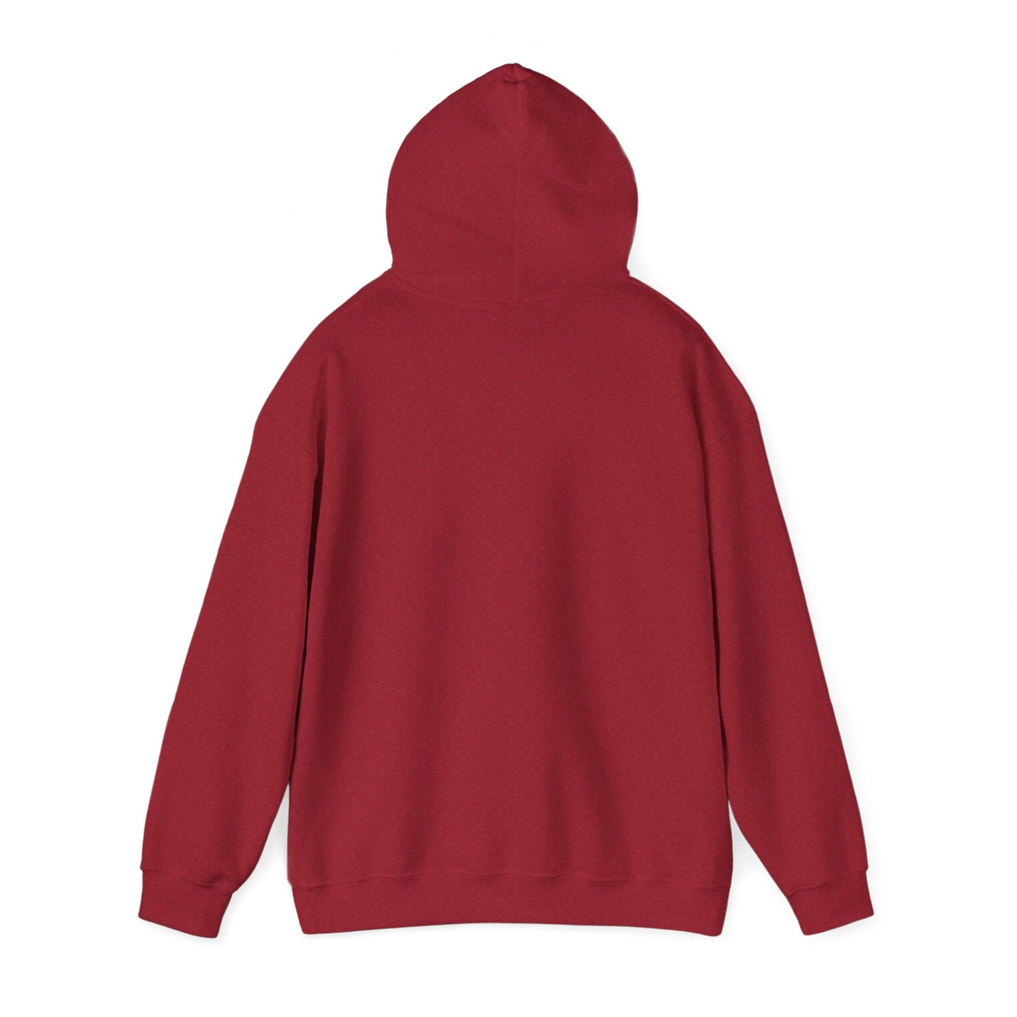 Established Ace Hoodie