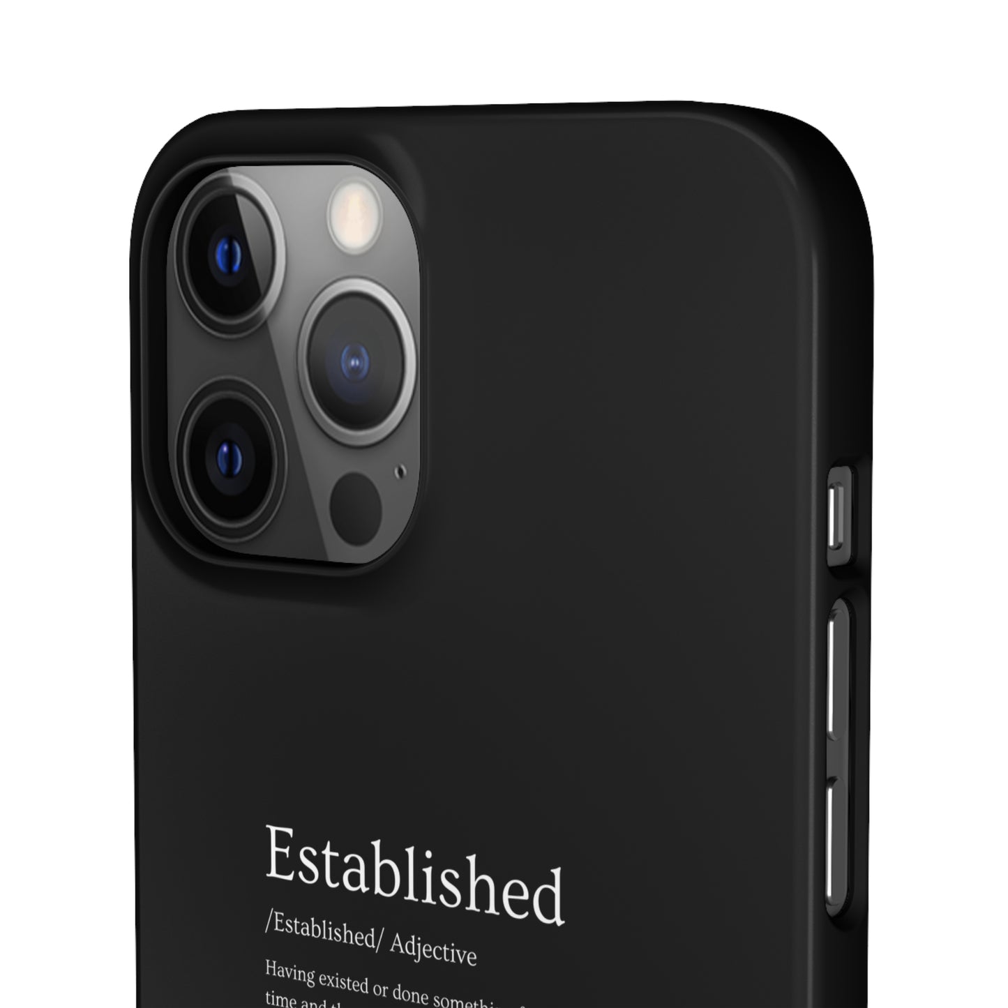 Established - Snap Cases